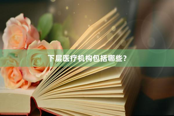 下层医疗机构包括哪些？